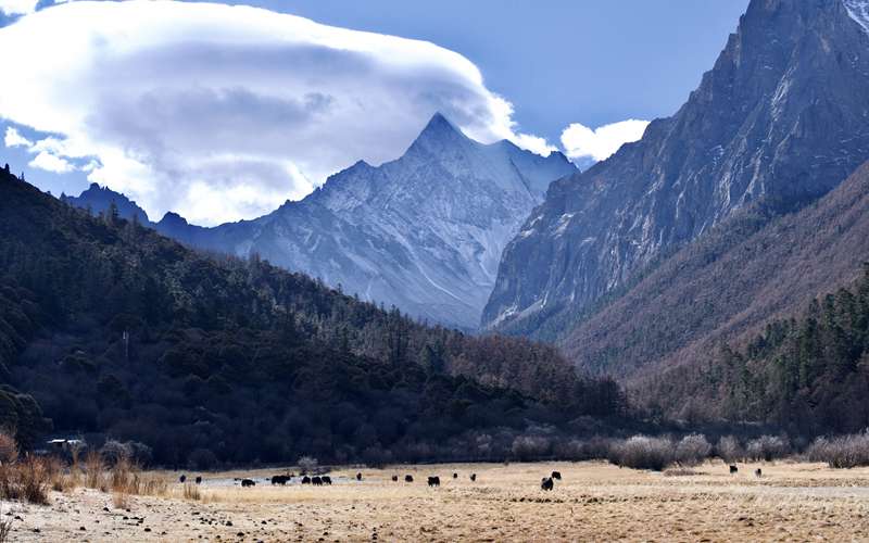 川西纯玩团,我劝你别太纯了!-第3张图片-成都旅行社 川西纯玩团,我劝你别太纯了!-第3张图片-成都旅行社